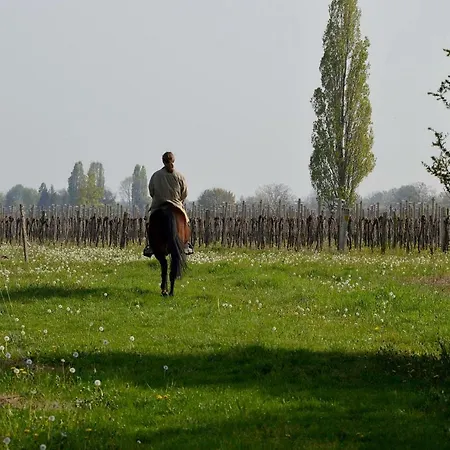 Farma Societa Agricola La Staccionata