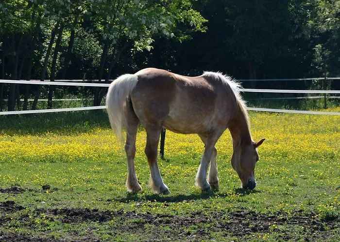 Societa Agricola La Staccionata Farm stay *
